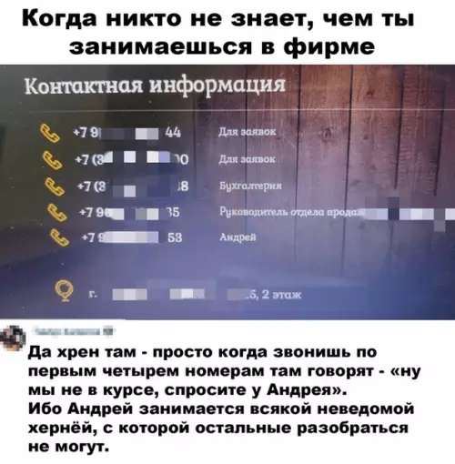 Смешная картинка №503014 Замдиректора по непонятным вопросам