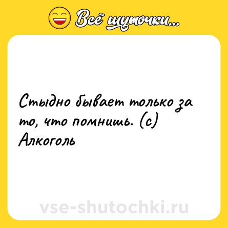 Шутка: Стыдно бывает только за то, что помнишь. (с) Алкоголь