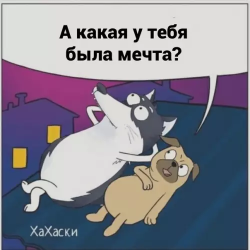 продолжение Смешная картинка №593487 Meчты cбывaютcя