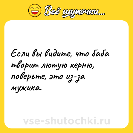 Шутка: Если вы видите, что баба творит лютую херню, поверьте, это из-за мужика.