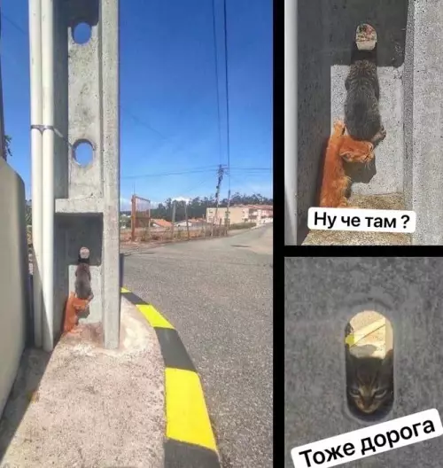 Смешная картинка №669743
