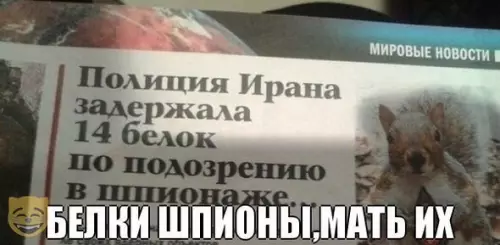 Смешная картинка №351199 #приколы #картинки #мемы ?
