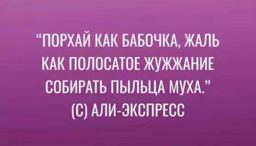 Смешная картинка №589185 Цитaты вeликиx