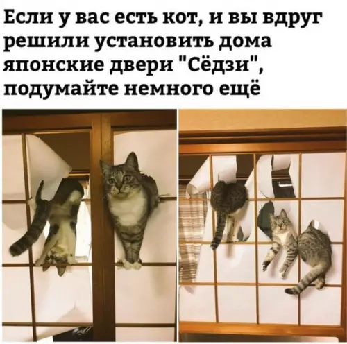 Смешная картинка №334623