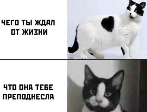 Смешная картинка №506625