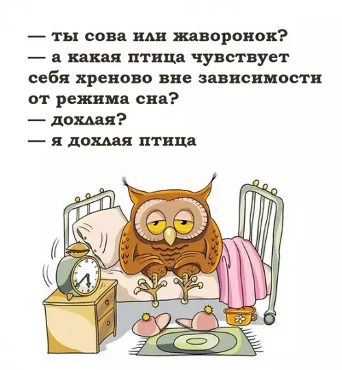 Смешная картинка №493623 Жизненная жиза