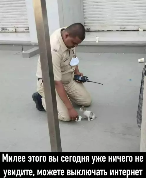 Смешная картинка №497118