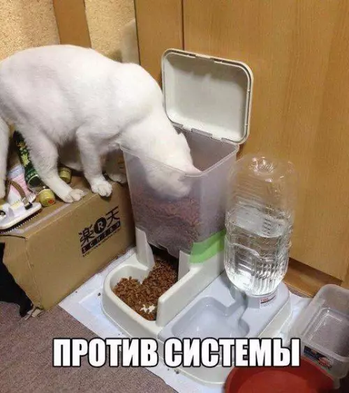 Смешная картинка №208057