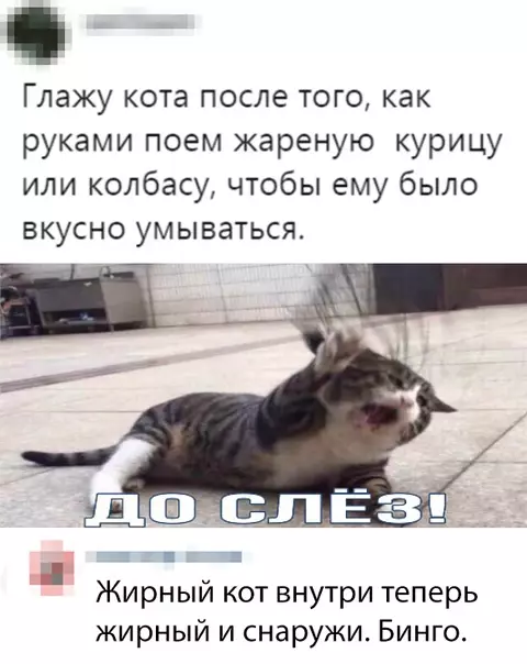 Смешная картинка №378355