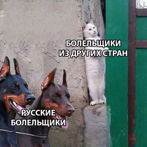 Смешная картинка №282136