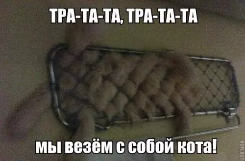 Смешная картинка №194046