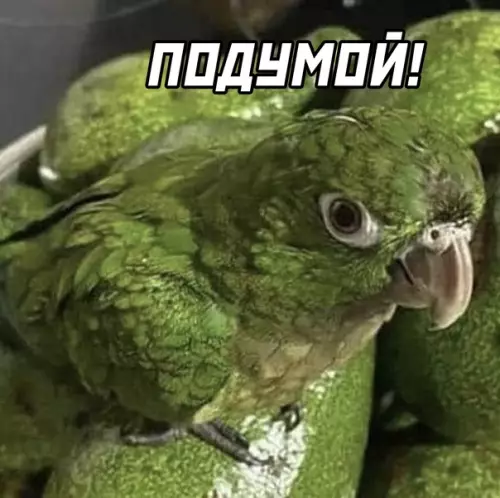 продолжение Смешная картинка №591816