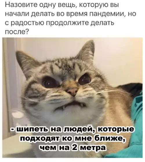 Смешная картинка №517053 А я и до пандемии шипел, когда ко мне прижимаются в очереди.