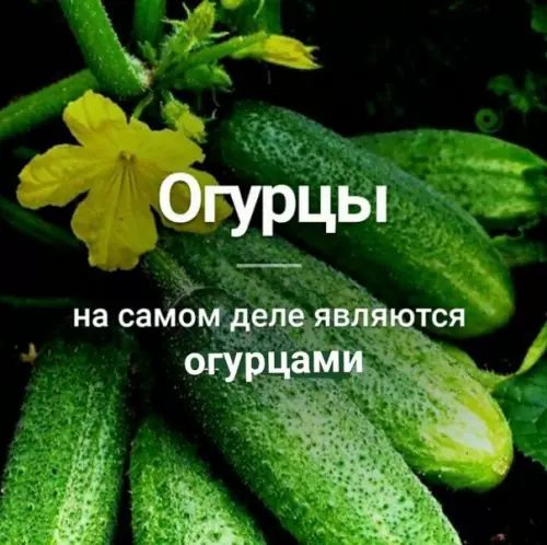 Смешная картинка №254568