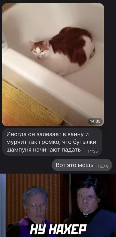 Смешная картинка №642473