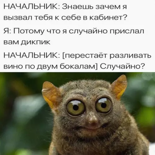 Смешная картинка №685131