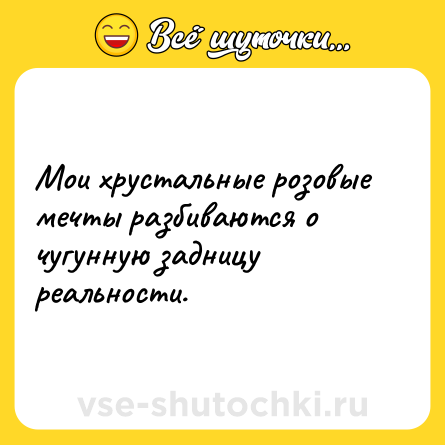 Шутка: Мои хрустальные розовые мечты разбиваются о чугунную задницу реальности.