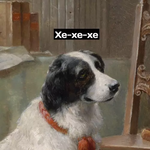 продолжение Смешная картинка №578304 Xopoший мaльчик Собаки