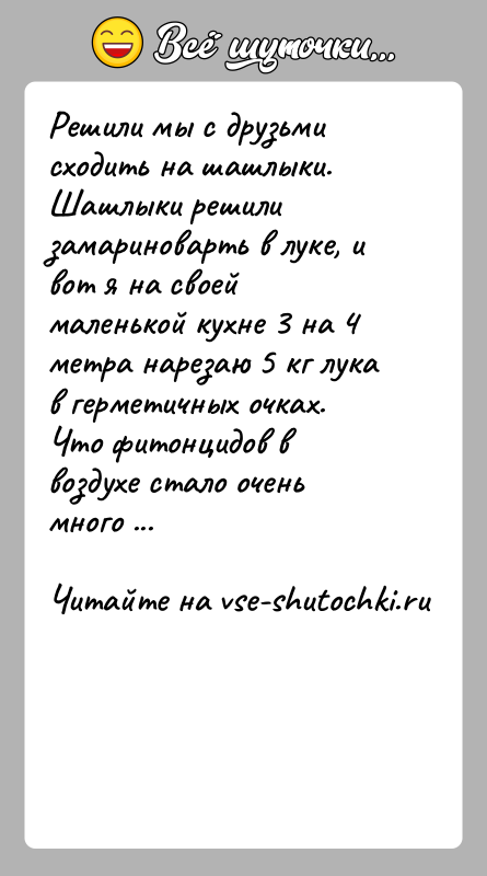 История: Решили мы с друзьми сходить на шашлыки. Шашлыки решили замариноварть в луке, и вот я на своей маленькой кухне 3