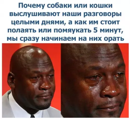Смешная картинка №282355