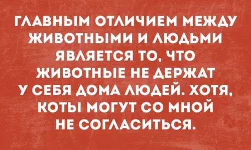 Смешная картинка №286136