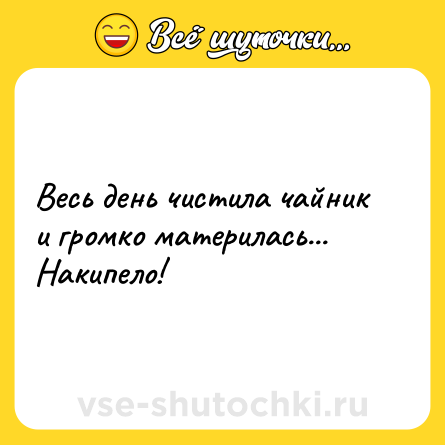 Шутка: Весь день чистила чайник и громко материлась... Накипело!