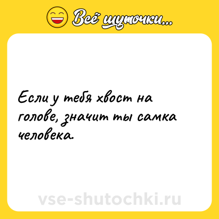 Шутка: Если у тебя хвост на голове, значит ты самка человека.
