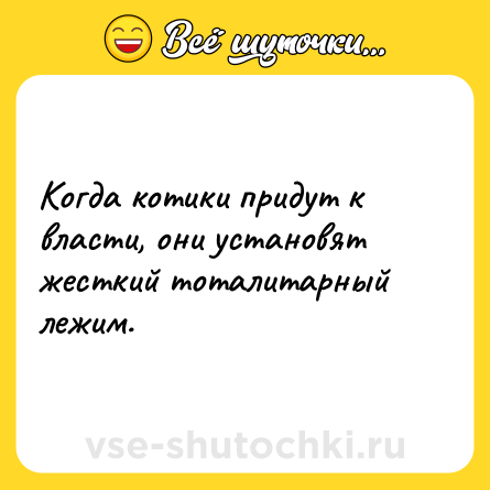 Шутка: Когда котики придут к власти, они установят жесткий тоталитарный лежим.