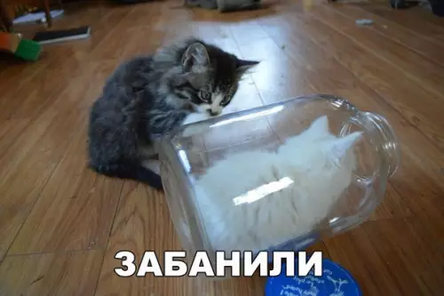 Смешная картинка №203530