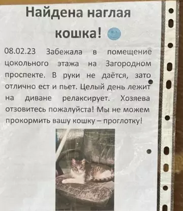Смешная картинка №736130 Так и должно быть 