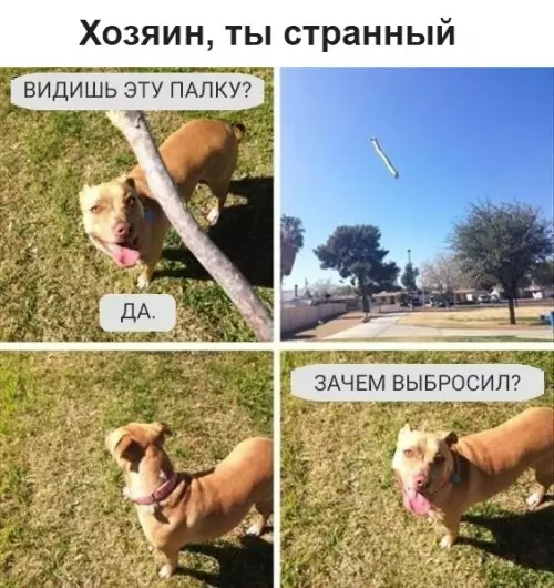 Смешная картинка №345749