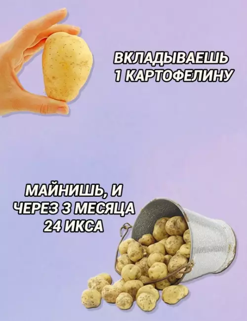 Смешная картинка №768852 серьезное дело 