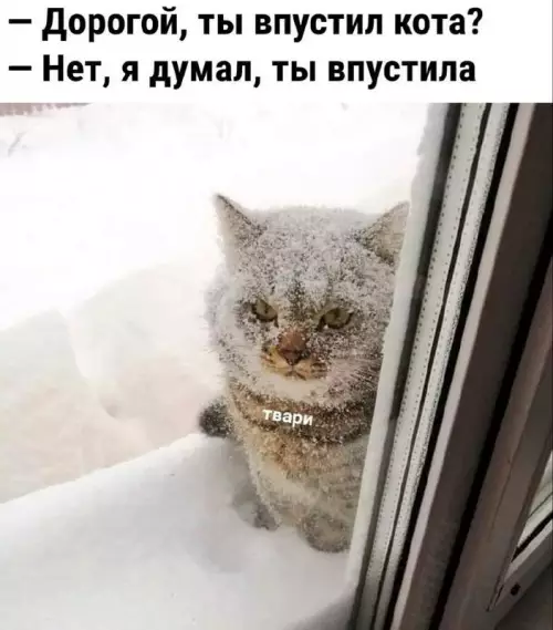 Смешная картинка №677290