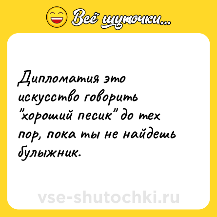 Шутка: Дипломатия это искусство говорить 