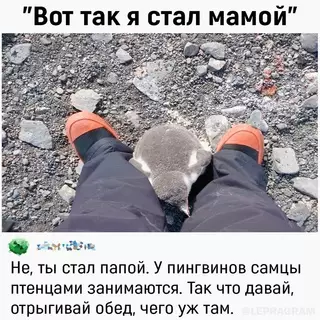 Смешная картинка №661097