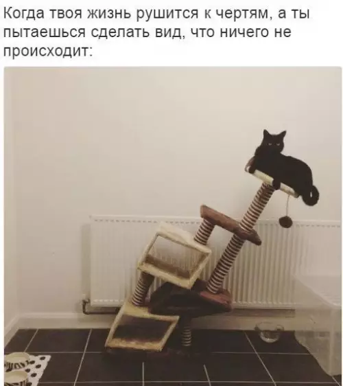 Смешная картинка №177678