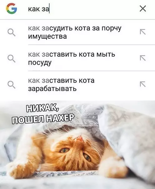 Смешная картинка №320082 Б – безнаказанность