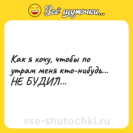 Шутка: Как я хочу, чтобы по утрам меня кто-нибудь... НЕ БУДИЛ...