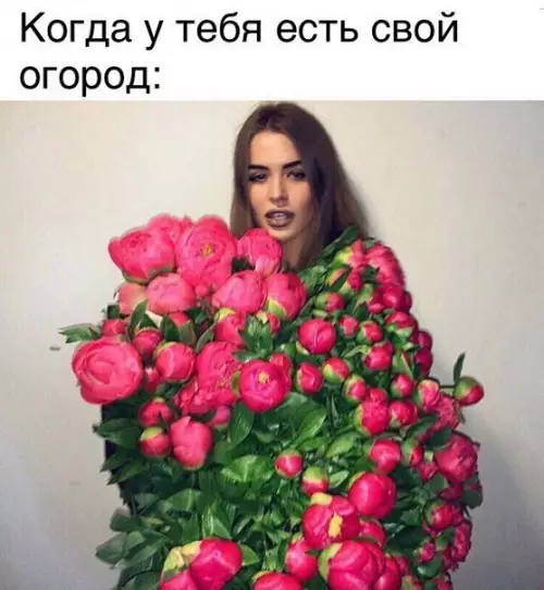 Смешная картинка №216780