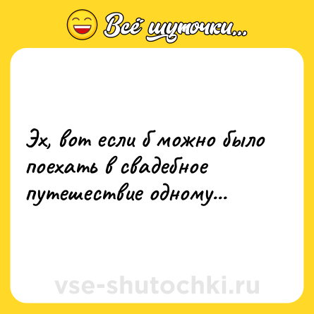 Шутка: Эх, вот если б можно было поехать в свадебное путешествие одному...