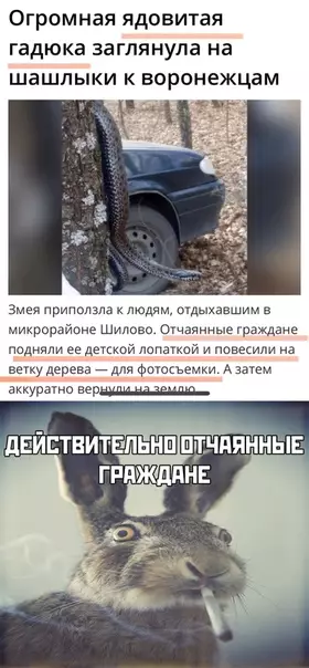 Смешная картинка №475369