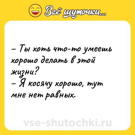 Шутка: – Ты хоть что-то умеешь хорошо делать в этой жизни? <br>– Я косячу хорошо, тут мне нет равных.
