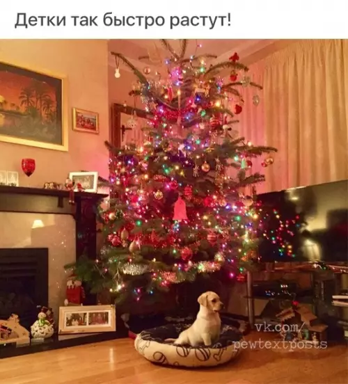 Смешная картинка №431651