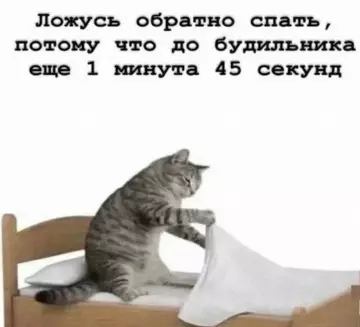 Минутка сна перед катастрофой 😴 - Ложусь обратно спать, потому что до будильника еще 1 минута
