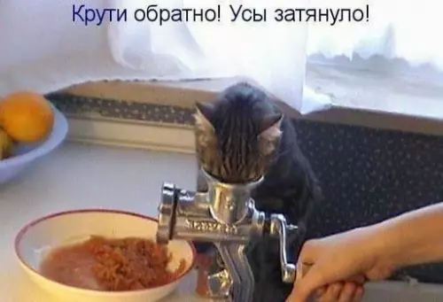 Смешная картинка №240448