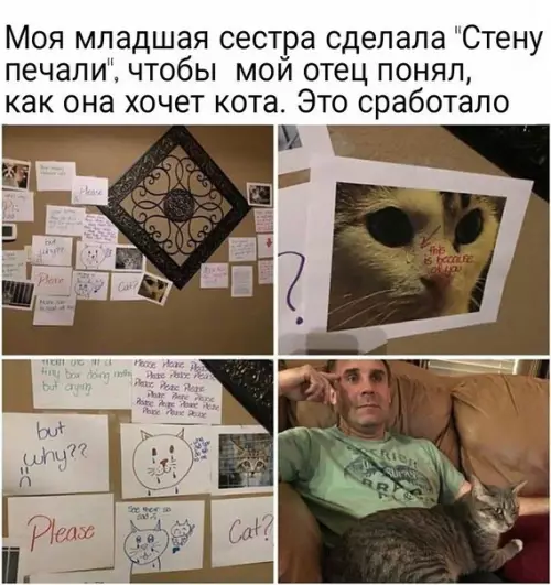 Смешная картинка №244533