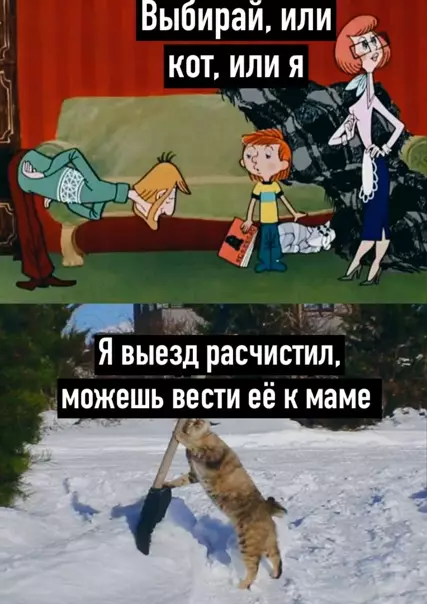 Смешная картинка №555187