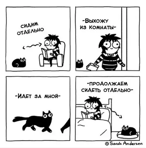 Смешная картинка №664507