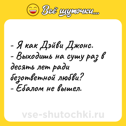 Шутка: - Я как Дэйви Джонс. <br>- Выходишь на сушу раз в десять лет ради безответной любви? <br>- Ебалом не вышел.