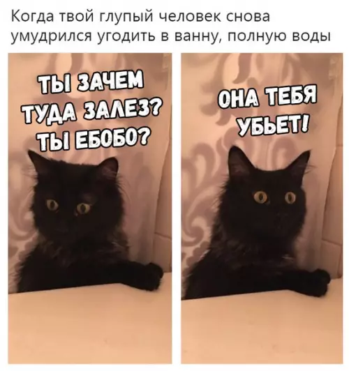 Смешная картинка №324036